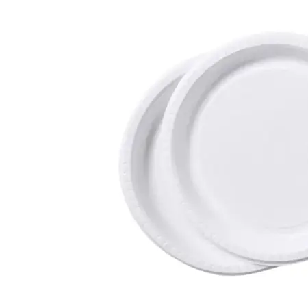 Carrefour Plastik Tabak 22 cm 10'lu