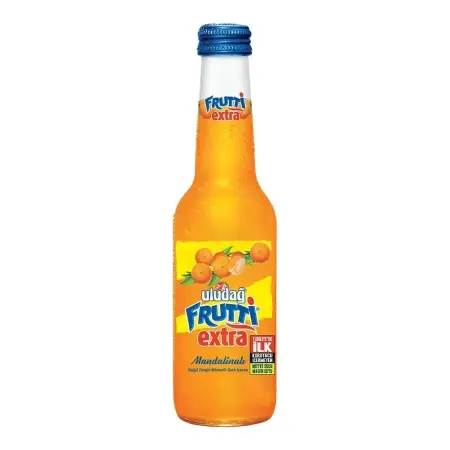 Uludağ Frutti Extra Mandalina 250 ml